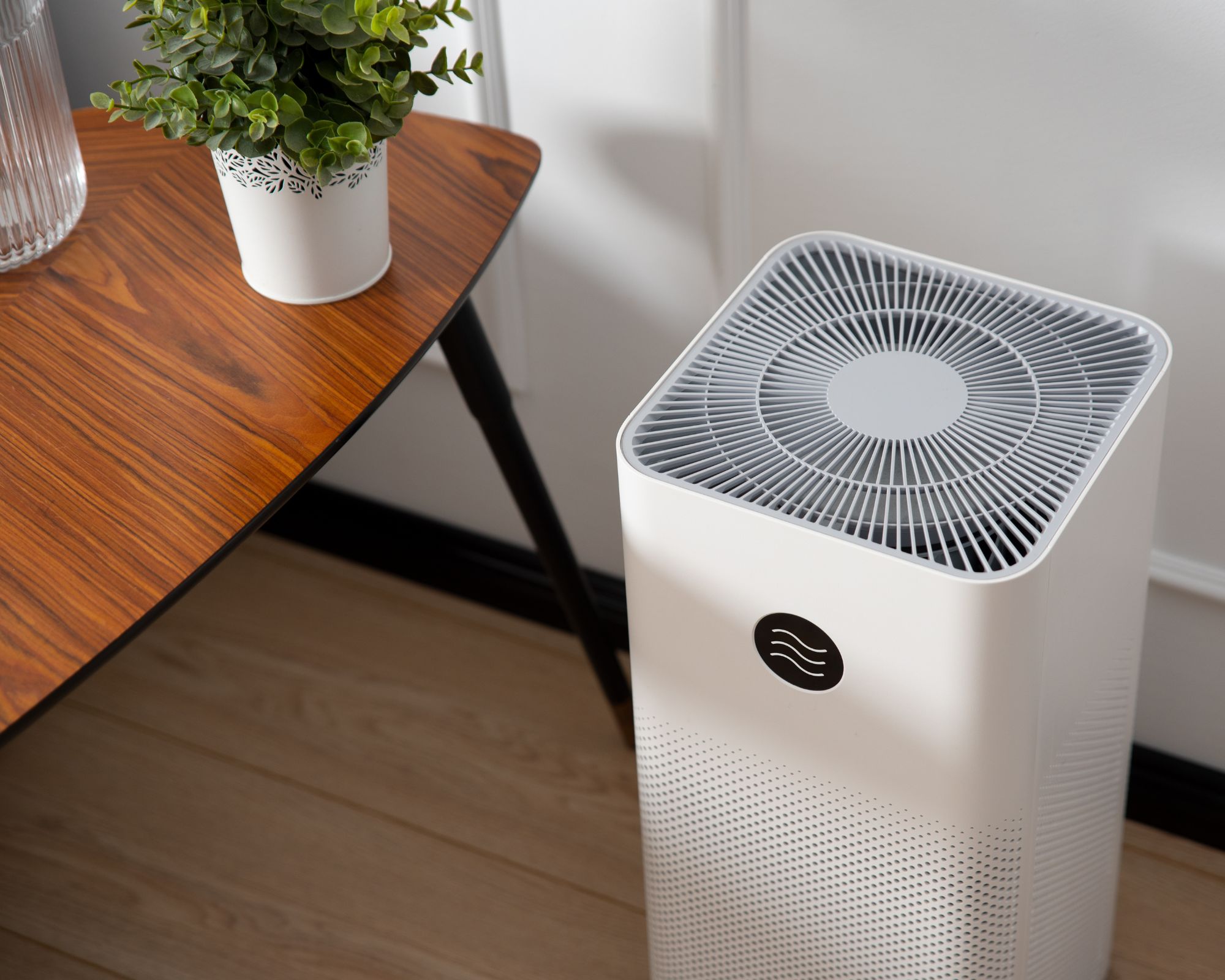 Air Purifier Gallery 2